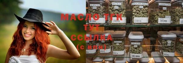 мет Гатчина